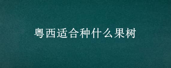 粤西适合种什么果树 适合粤北山区种植的果树的品种