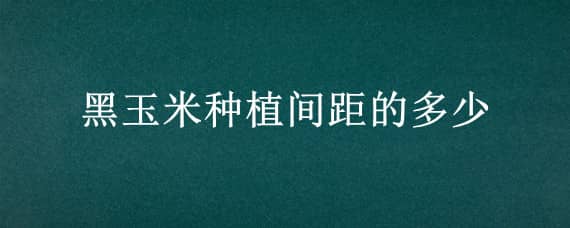 黑玉米种植间距的多少（种植黑玉米的气候条件）