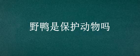 野鸭是保护动物吗（野鸭是保护动物吗?属于几级）