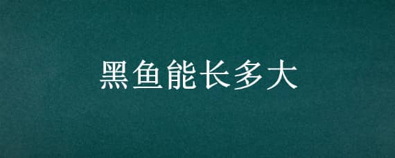 黑鱼能长多大（家养黑鱼能长多大）