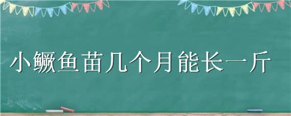 小鳜鱼苗几个月能长一斤（鳜鱼苗一年能长多大）