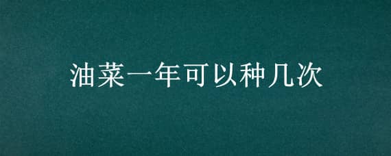 油菜一年可以种几次（油菜一年可以种几次花）