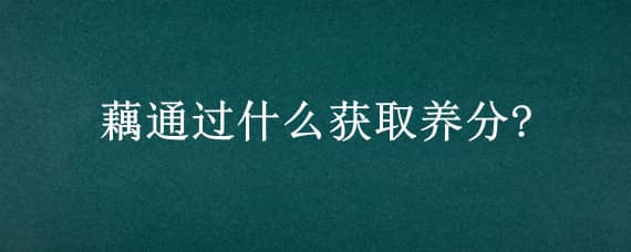 藕通过什么获取养分? 藕通过什么获取养分?藕丝还是藕皮?