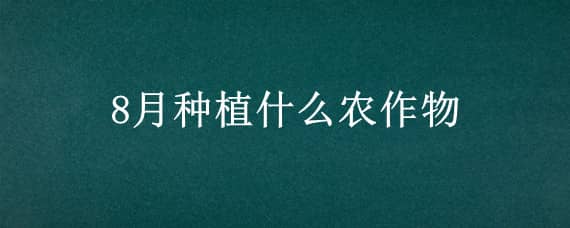 8月种植什么农作物（8月种植什么农作物好）