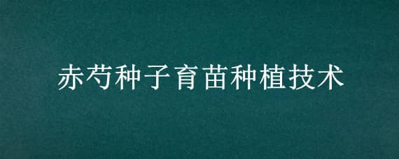 赤芍种子育苗种植技术 赤芍育苗亩用种子多少