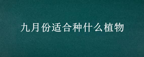 九月份适合种什么植物（九月份适合种什么植物呢）