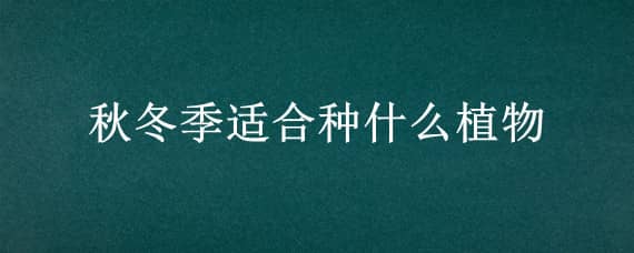 秋冬季适合种什么植物（秋冬季适合种什么植物图片）