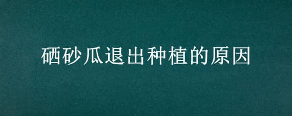 硒砂瓜退出种植的原因（硒砂瓜产业发展的问题）