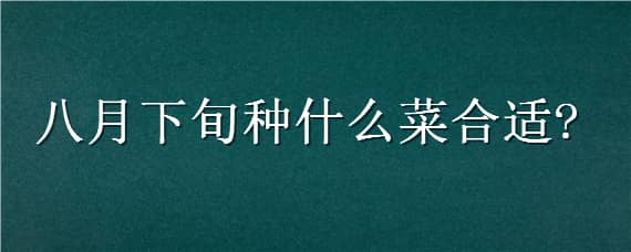 八月下旬种什么菜合适（八月中旬种什么菜合适）