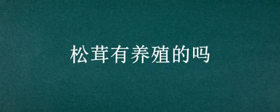 松茸有养殖的吗（松茸有养殖人工养殖的）