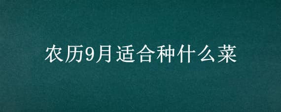 农历9月适合种什么菜 阳历9月适合种什么菜