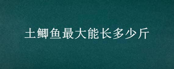 土鲫鱼最大能长多少斤 土鲫鱼最大能长多少斤以上