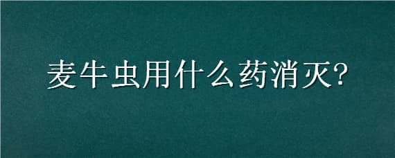 麦牛虫用什么药消灭 麦牛虫用什么药消灭它