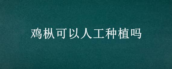 鸡枞可以人工种植吗（鸡枞可以人工种植吗视频）