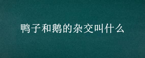 鸭子和鹅的杂交叫什么（鸭子和鹅的杂交叫什么哪个地方有）