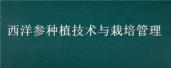 西洋参种植技术与栽培管理（西洋参种植技术与栽培管理书籍）