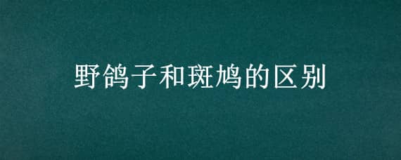 野鸽子和斑鸠的区别 野鸽子和斑鸠的区别谁挪窝能被气死