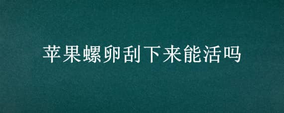 苹果螺卵刮下来能活吗（苹果螺卵脱落后全不见了）