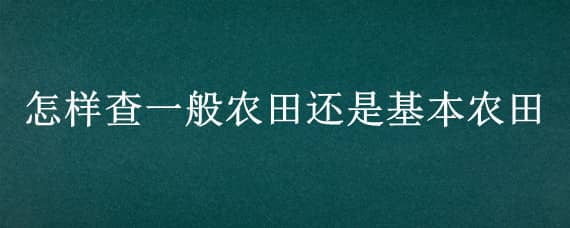 怎样查一般农田还是基本农田（怎样查一般农田还是基本农田啊）