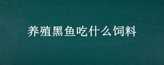 养殖黑鱼吃什么饲料 养殖黑鱼吃什么饲料比较好