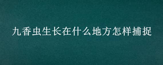 九香虫生长在什么地方怎样捕捉 九香虫的生长环境