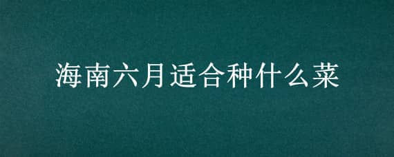 海南六月适合种什么菜（海南五六月份种什么菜好）