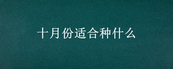 十月份适合种什么 十月份适合种什么花?