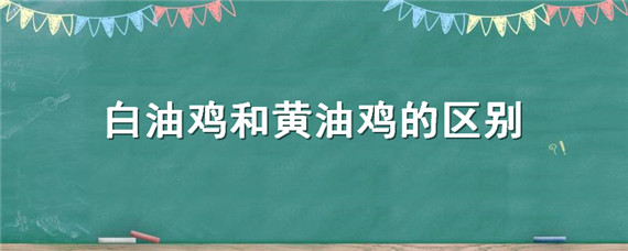 白油鸡和黄油鸡的区别 鸡有黄油和白油