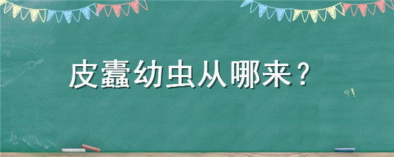 皮蠹幼虫从哪来 皮蠹虫是从哪里来的