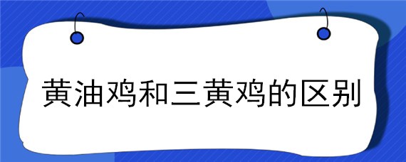 黄油鸡和三黄鸡的区别（三黄肉鸡与普通三黄鸡区别）