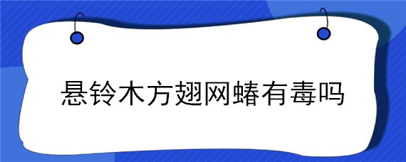 悬铃木方翅网蝽有毒吗（悬铃木方翅网蝽的危害）