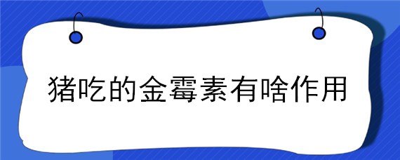 猪吃的金霉素有啥作用 金霉素对猪有什么作用