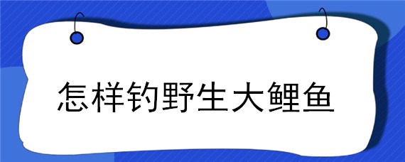 怎样钓野生大鲤鱼（钓野生大鲤鱼用什么饵料）