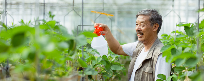 6种浇花小方法 浇花怎么浇比较好