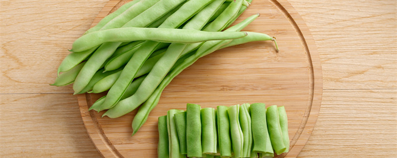 四季豆种子催芽方法 四季豆浸种催芽法