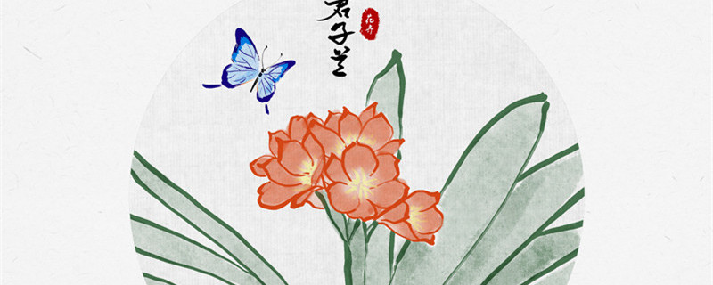 君子兰怎么养才能开花（君子兰怎么养才能开花二十四才）