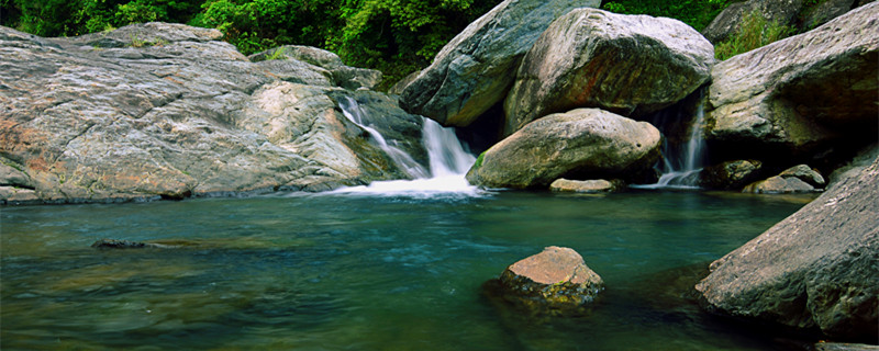 水绵是什么生物（水绵是水生生物吗）