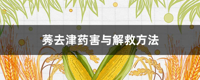 莠去津药害与解救方法（硝烟莠去津药害怎么解除）