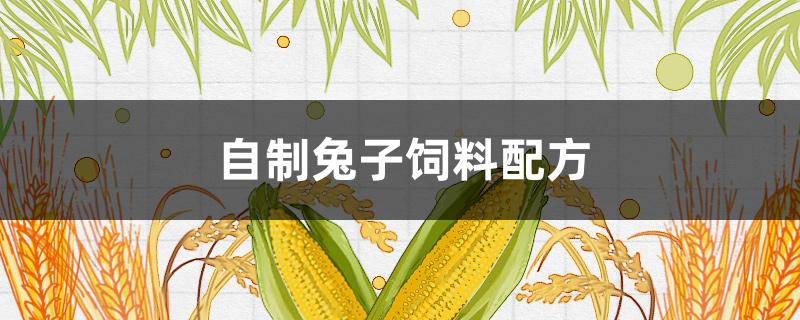 自制兔子饲料配方 兔子饲料配方