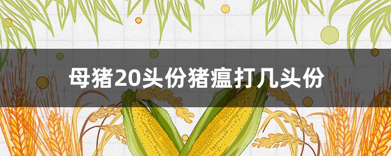 母猪20头份猪瘟打几头份 猪瘟20头份打多少猪