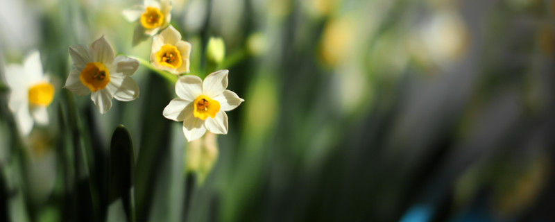 花土里有小白虫妙招（花土里的小白虫怎么办）