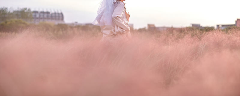 鄱阳湖蓼子花什么时间开花（鄱阳湖蓼子花什么时候开）