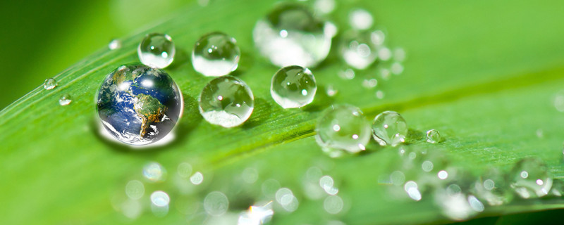 打除草剂有露水可以打吗 打除草剂露水打影响药效吗