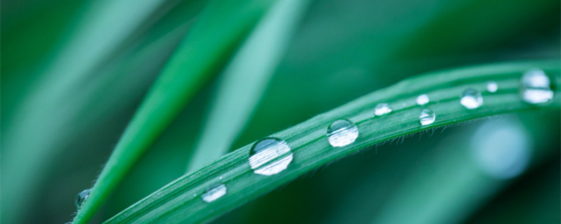 除草是什么季节（除草是什么季节的活动）