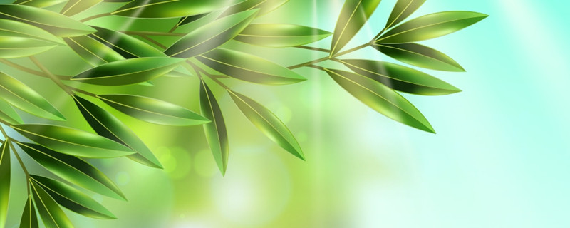 橄榄枝的象征意义（橄榄枝的象征意义是坚贞不屈吗）