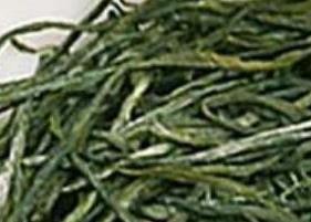安化松针的特点（安化松针茶的功效与作用）