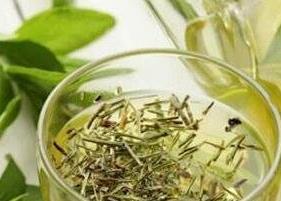 安化松针茶的泡法与功效 安化松针茶的图片