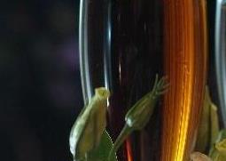 酒杯花的养殖方法与注意事项 酒杯花的养殖方法与注意事项