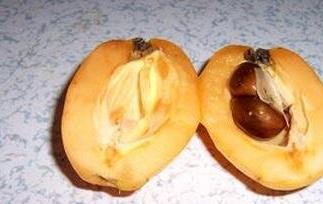 枇杷果核可以吃吗（枇杷果核可以吃吗图片）