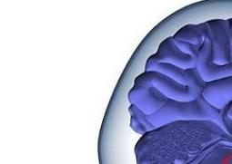 多巴胺的功效与作用（多巴胺的功效与作用用法）